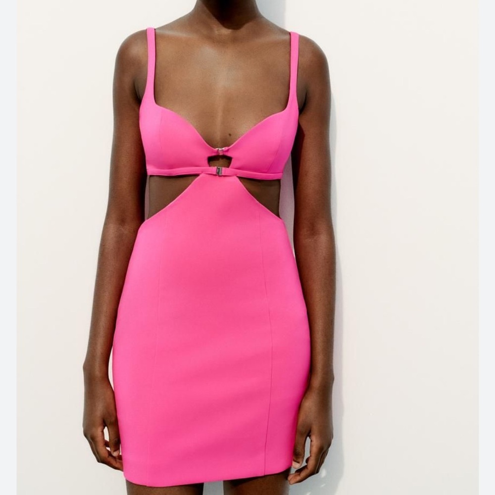 Zara Pink Cut-Out Mini Dress